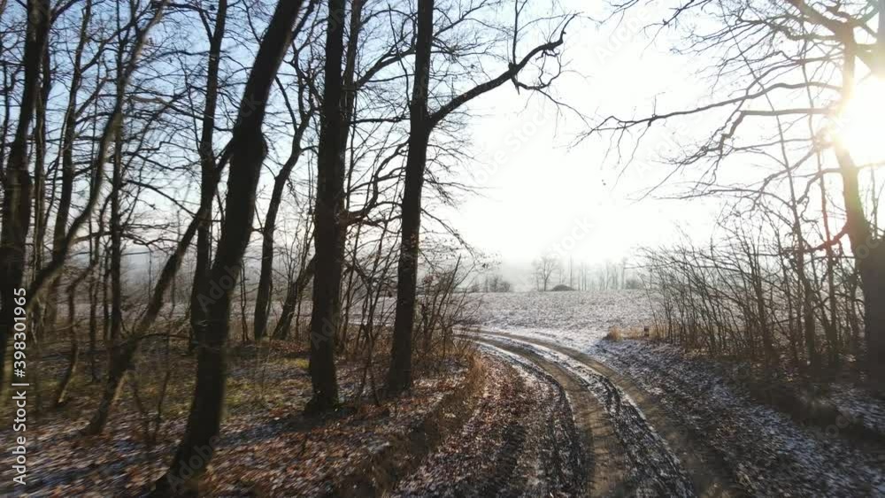 road through foggy forest in autumn, aerial view road through foggy forest in autumn, aerial view