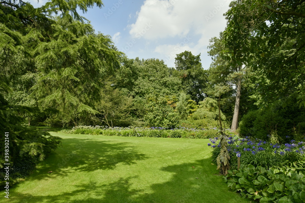 Obraz premium Parterres de végétation luxuriante entre les différents arbres d'une incroyable beauté à l'arboretum de Kalmthout au nord d'Anvers 