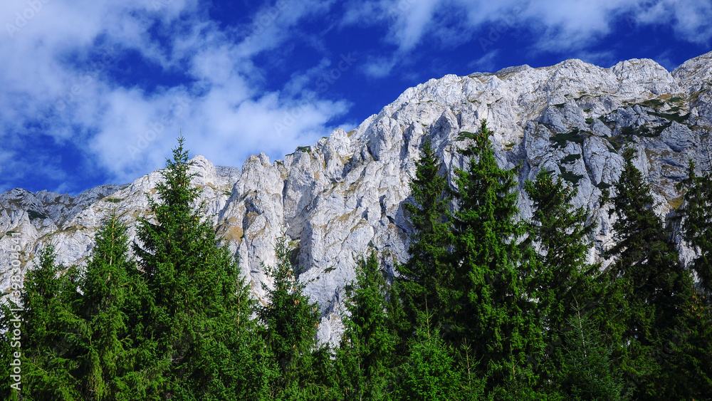 Piatra craiului rocky crest raising above wild fir forests. Carpathia, Romania