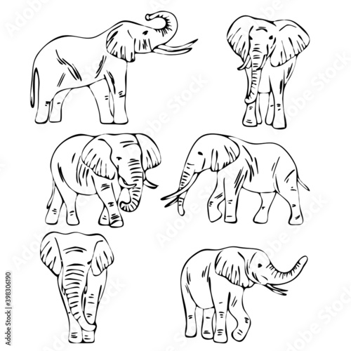 vector illustration  elephant  set of drawings  template silhouette  isolate