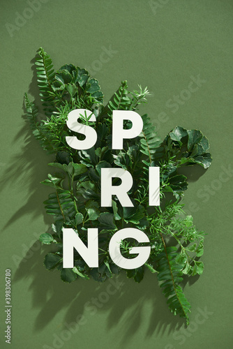 White spring text with leaves on green background flatlay. photo
