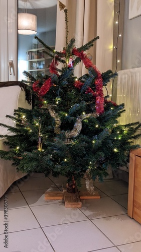 decorated christmas tree © Roberto