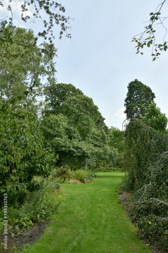 Chemin en gazon entre les différentes plantes et arbres de l'arboretum de Kalmthout au nord d'Anvers