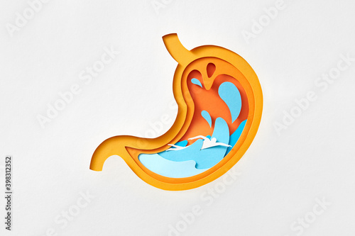 Papercraft composition of human stomach with paper swimming man. photo
