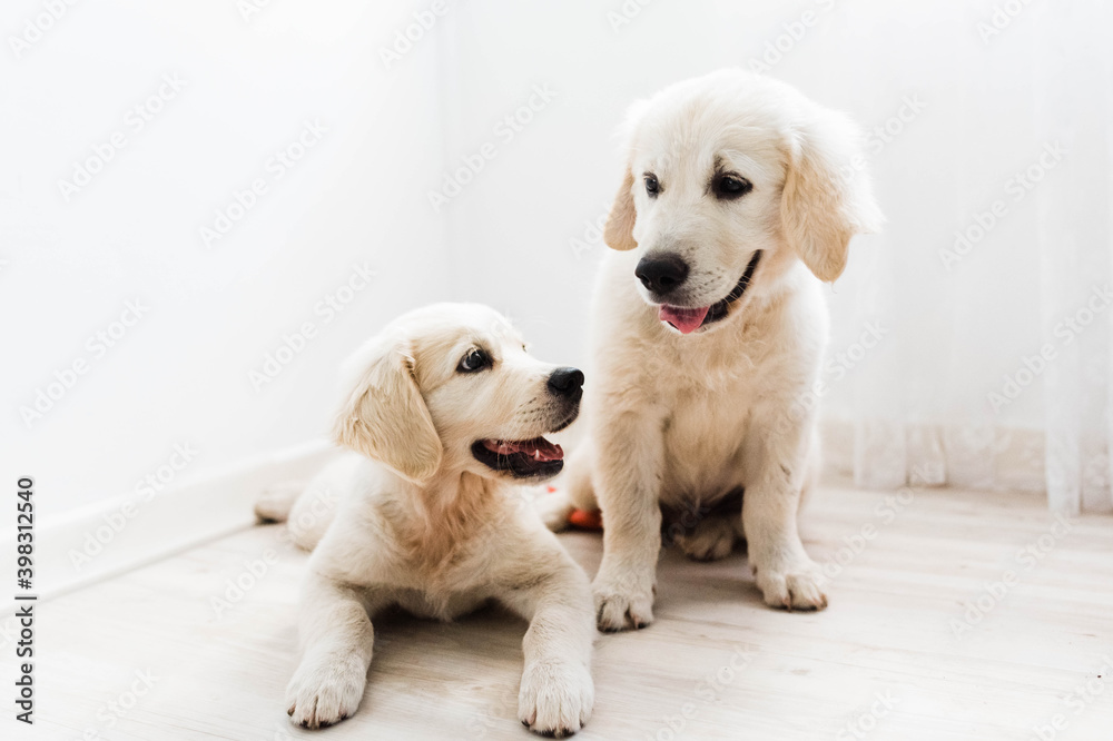 siblings
