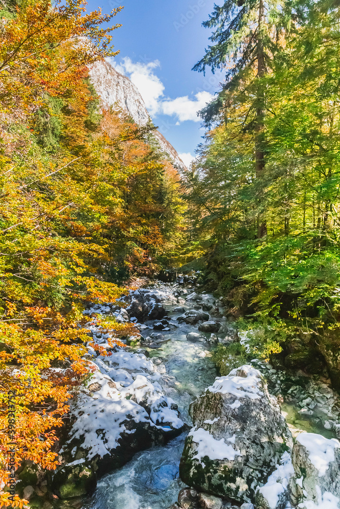 Mountain river in the autumn forest in Slovenia. Alps on the horizon Mountain river in the autumn forest in Slovenia. Alps on the horizon