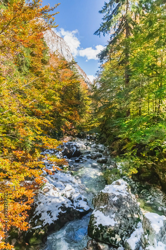 Mountain river in the autumn forest in Slovenia. Alps on the horizon