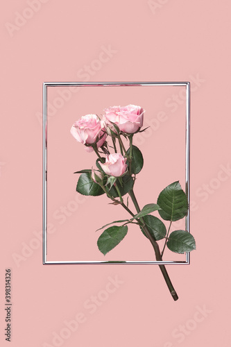 Floating frame with fresh roses.