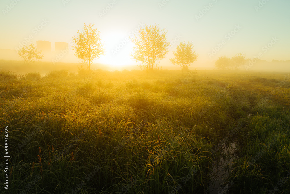 sunrise in the field sunrise in the field
