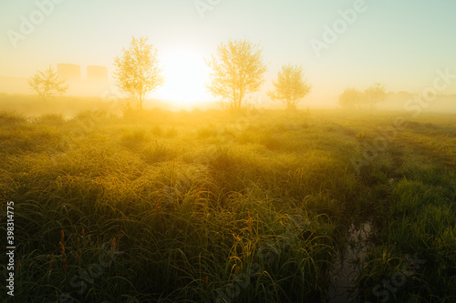 sunrise in the field