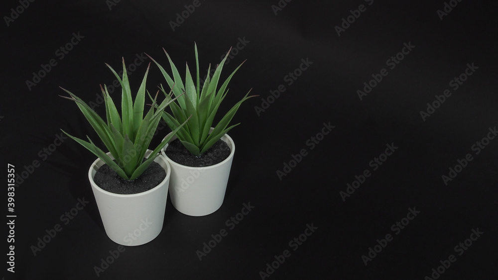 Two Artificial cactus plants or plastic or fake tree on black background. Two Artificial cactus plants or plastic or fake tree on black background.