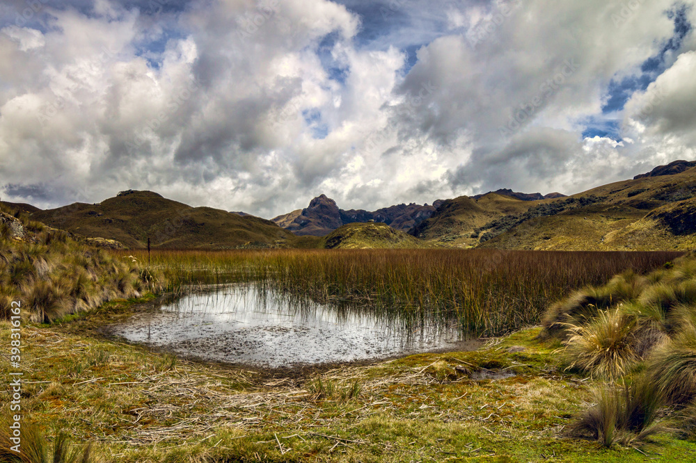 El Cajas, Azuay, Ecuador