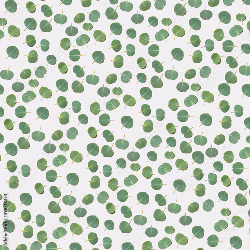 Fresh Eucalyptus leaves pattern.