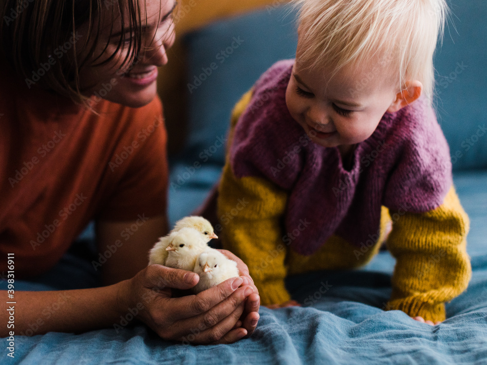 mother and daughter looking at baby chickens mother and daughter looking at baby chickens