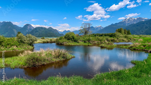 Pitt Polder Eco Reserve photo