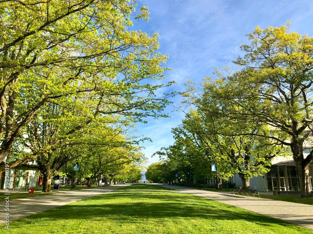 Fototapeta premium UBC in early May