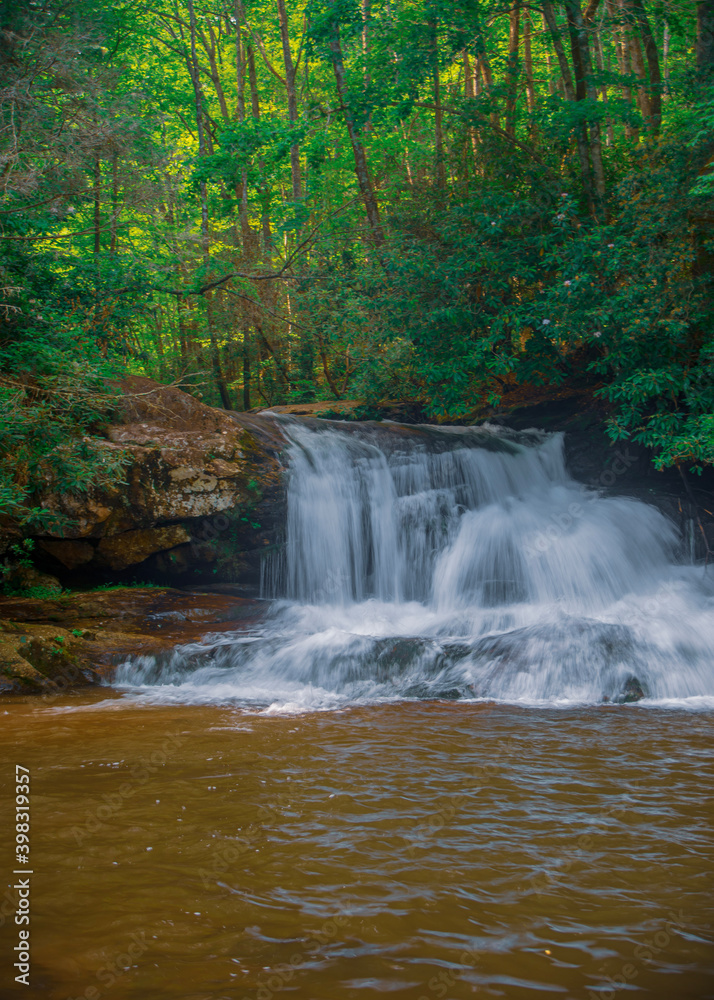 Obraz premium waterfall in the forest