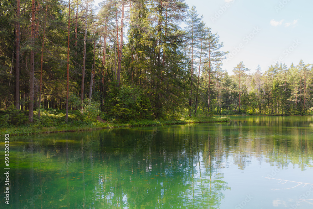 Amazing crystal clear and emerald water in the forest lake. Pine forest. Sunny summer day.