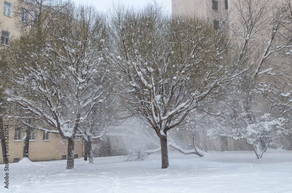 Snow fell in the city in winter.