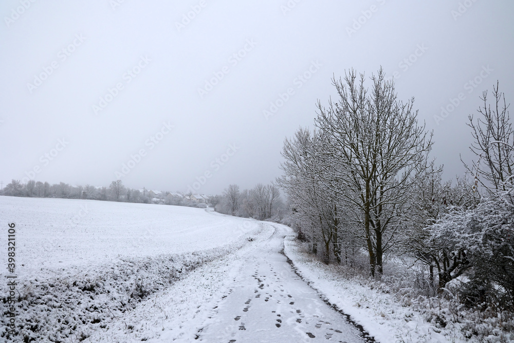 Fototapeta premium Winter landscape with trees covered in white snow