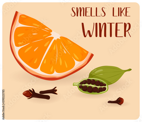 
The smells and tastes of winter. Condiments for bakery, spicy food and mulled wine of tea.Isolated set of orange, cardamom, cloves dried seeds.