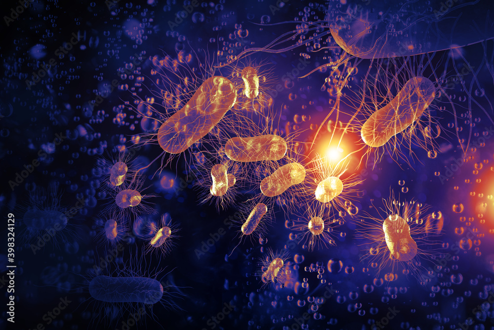 E.Coli Bacteria Cells 3D Illustration E.Coli Bacteria Cells 3D Illustration