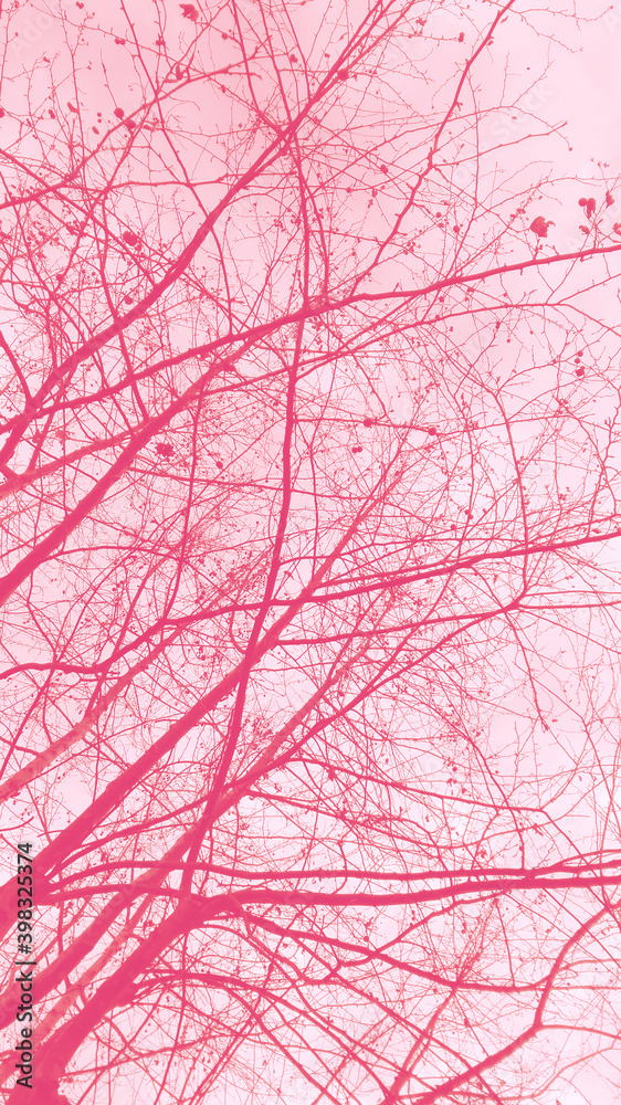 Obraz premium tree branch texture. variation in pink