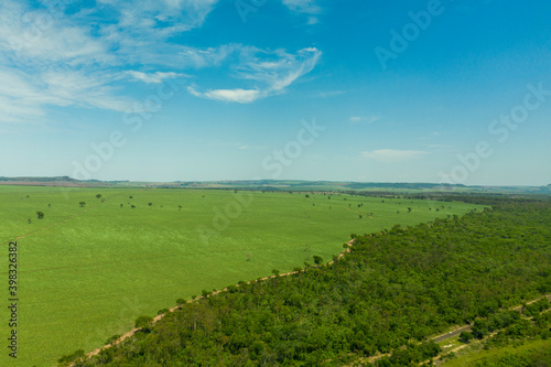 aerial view of area with forest and sugarcane plantation in Brazil