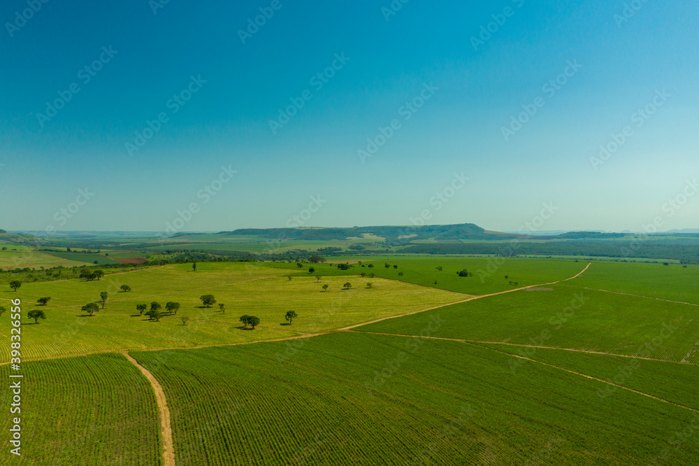 aerial view of sugarcane plantation area with mountains in the background - Brazil