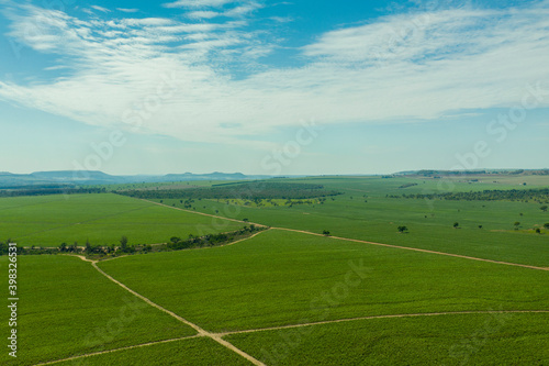 Wallpaper Mural aerial view of sugarcane plantation area with mountains in the background - Brazil Torontodigital.ca