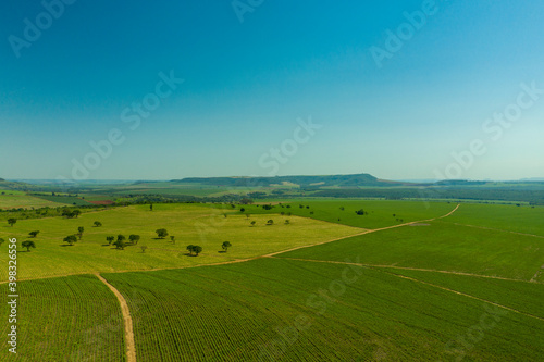 aerial view of sugarcane plantation area with mountains in the background - Brazil