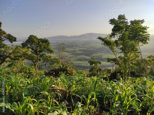 Naranjal, Veracruz, México