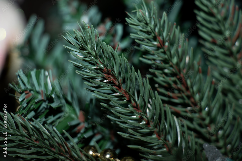 Closeup of Christmas Pine Tree Branches 