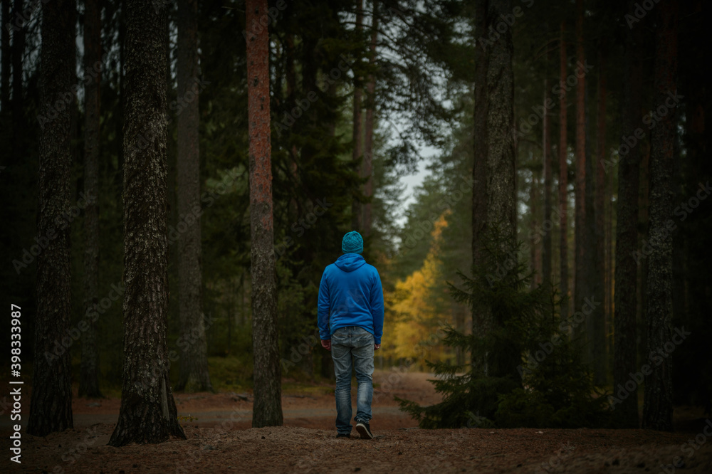 man walks in the pine forest in autumn