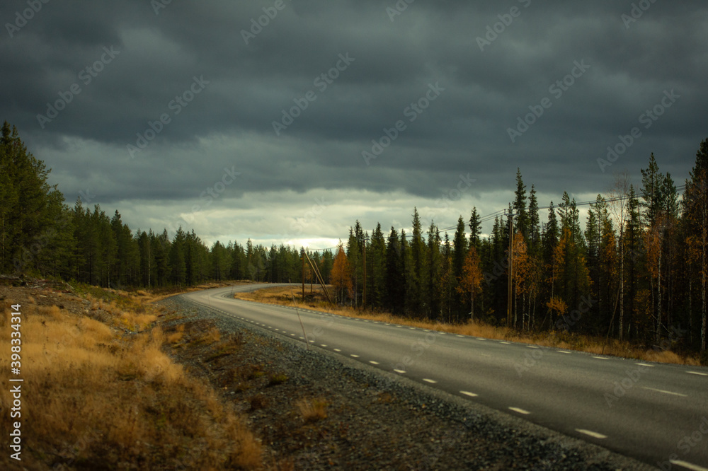 road goes through the forest in autumn in the evening