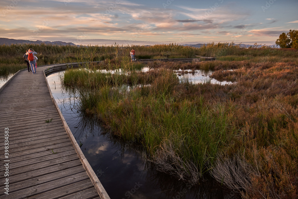 Fototapeta premium wooden bridge across the lake