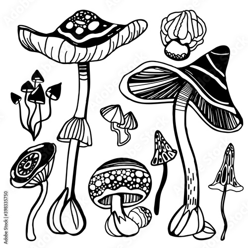 Set of stylized magic psychedelic mushrooms. Coloring page hallucinogenic, fantazy mushrooms. Black and white isolated vector illustration.