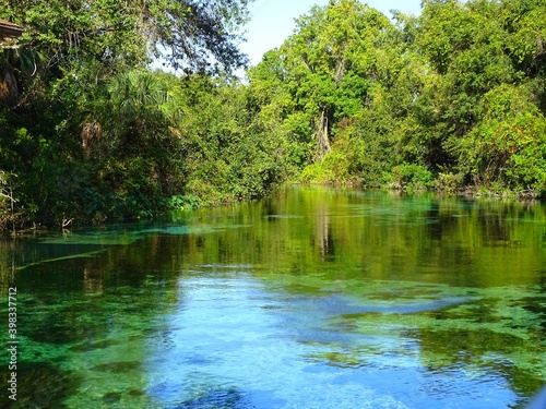 United States, Florida, Hernando County, Weeki Watchee river photo