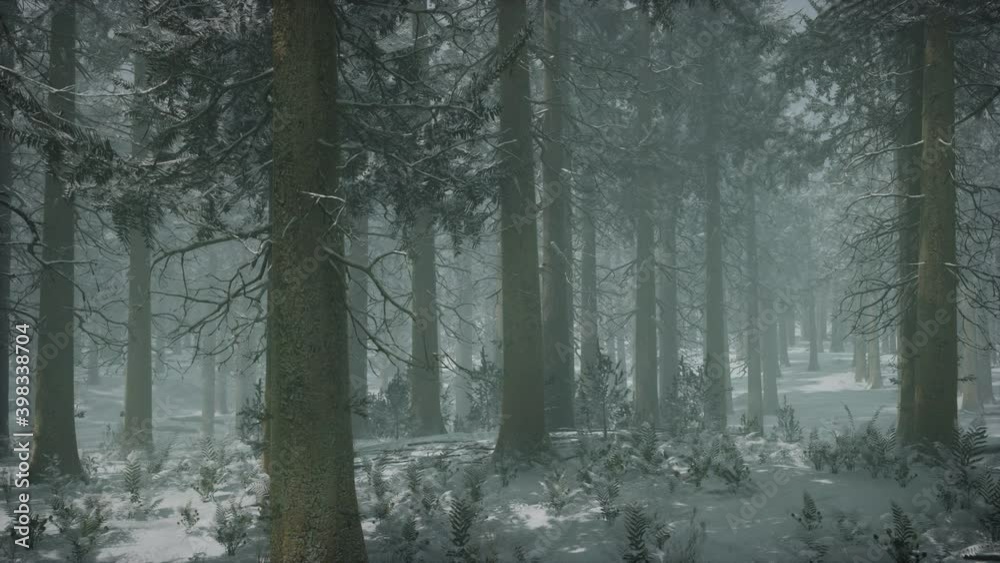 winter snow-covered forest on a cloudy day winter snow-covered forest on a cloudy day