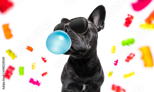 dog eating sweet candies