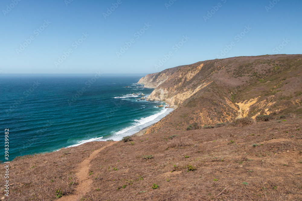 A coastal seascape and plants in California