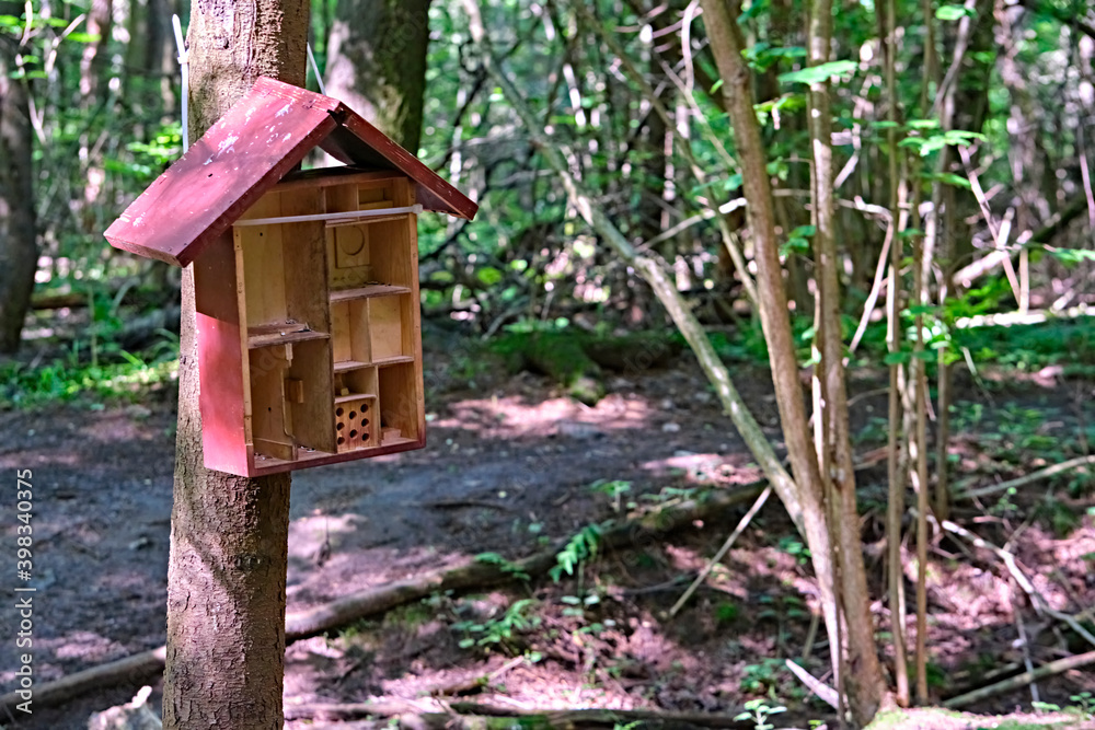 Feeder for squirrels and birds in the park that is in the city. general plan Feeder for squirrels and birds in the park that is in the city. general plan