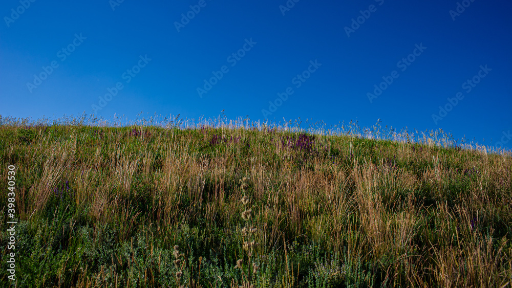 blue sky and hillside covered with flowers and herbs, rural landscape.