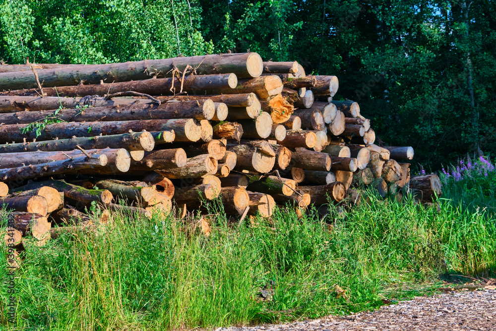 folded logs at the sawmill. natural background color folded logs at the sawmill. natural background color
