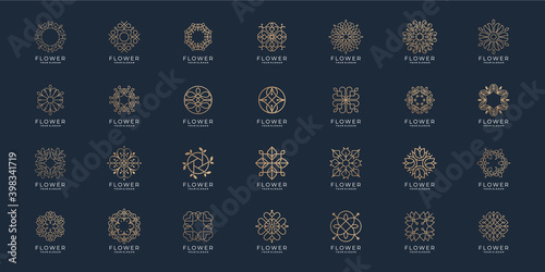 icon set Flower ornament logo and icon set. Abstract beauty flower logo design collection vector.