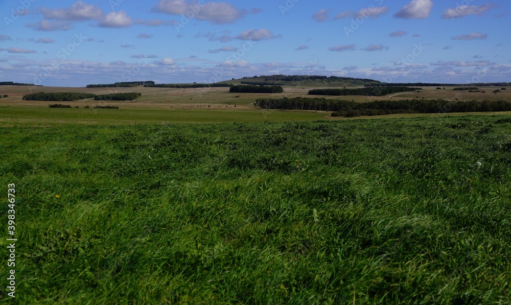 views across across rolling fields and parkland with copse woodland 