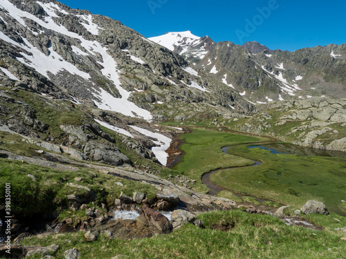 Top view of beautiful wetland with spring stream, alpine mountain meadow called Paradies with lush green grass and snow capped mountain peaks. Stubai hiking trail, Summer Tyrol Alps, Austria