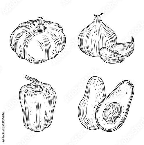 pumpkin avocado pepper and garlic vegetables fresh organic nature, hand drawn style