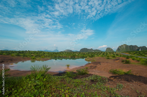 Expanse of oil palm plantations with beautiful views along with cloudy blue skies typical of tropical plantations.