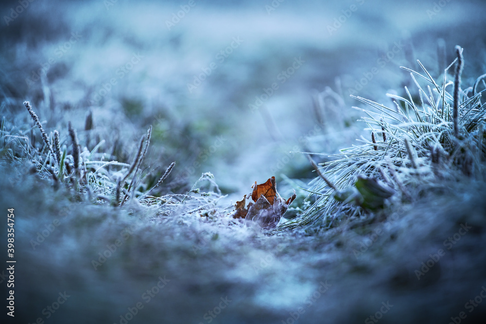 Red autumn leaf lies on snowy ground with blurred background
Red autumn leaf lies on snowy ground with blurred background